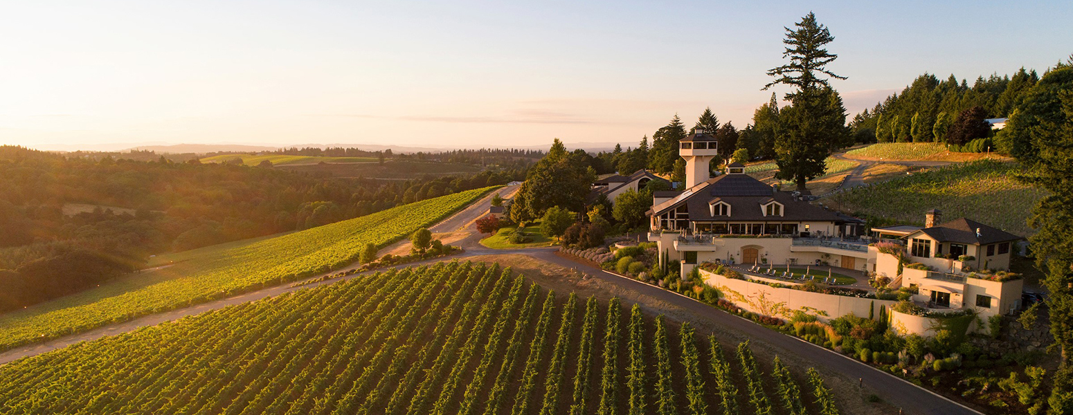 place setting with forks and knifes, menu and wine glasses